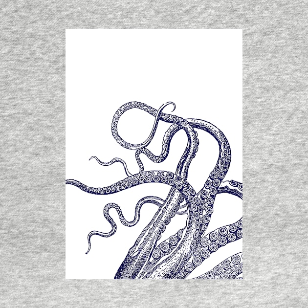 Octopus tentacles squid kraken nautical by SouthPrints